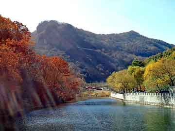 新澳天天开奖资料大全旅游团，杀出一片天